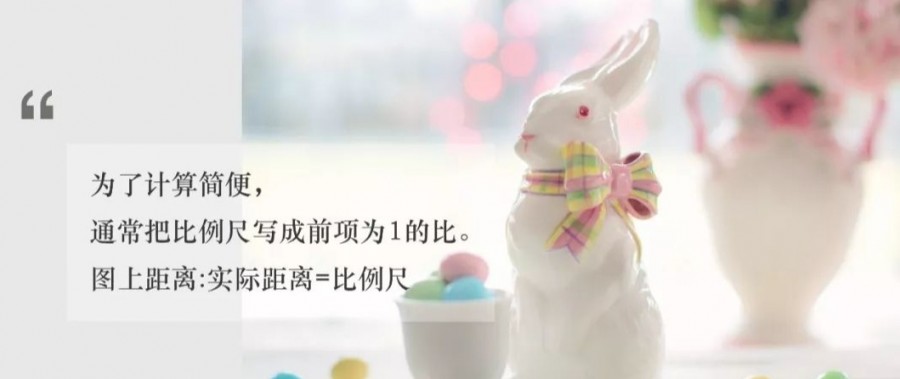 小学数学几何基础概念,小学数学基础知识汇总给孩子收藏