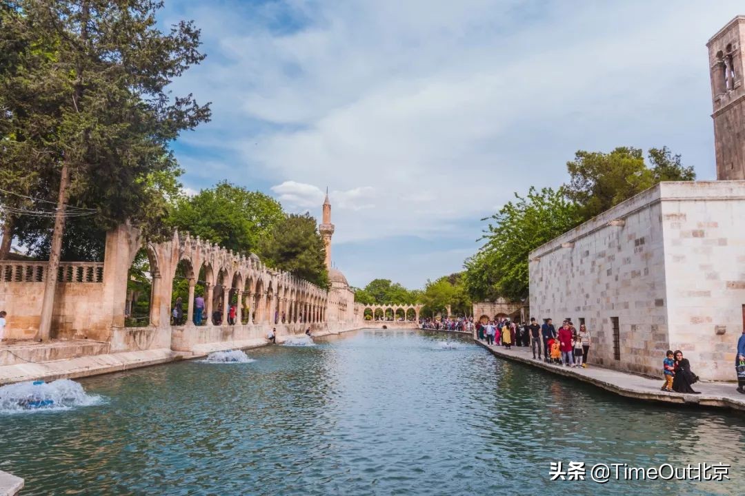 土耳其必吃的8大美食,真正的土耳其美食