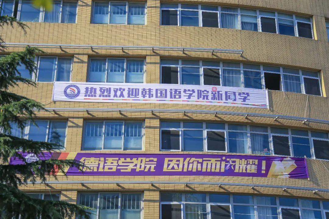 澶у杩庢柊,澶у杩庢柊鍥剧墖