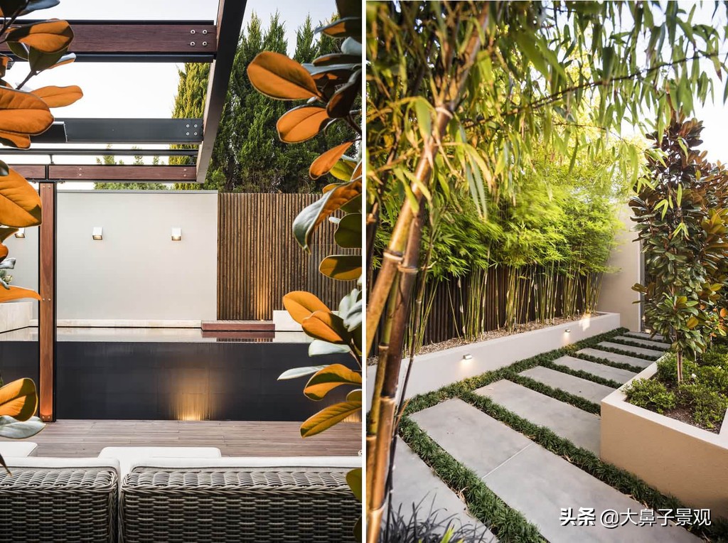 日式庭院植物选择和配置方法,庭院景观植物配置效果图