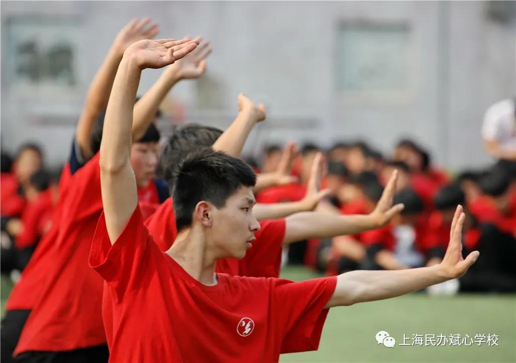 【扩散】一张一驰，文武斌心——民办斌心学校2020招生公告