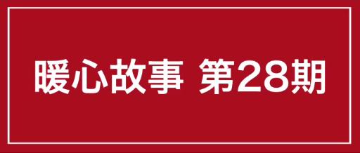 小猫被主人丢弃却被路人打了,小猫幼崽被遗弃后续