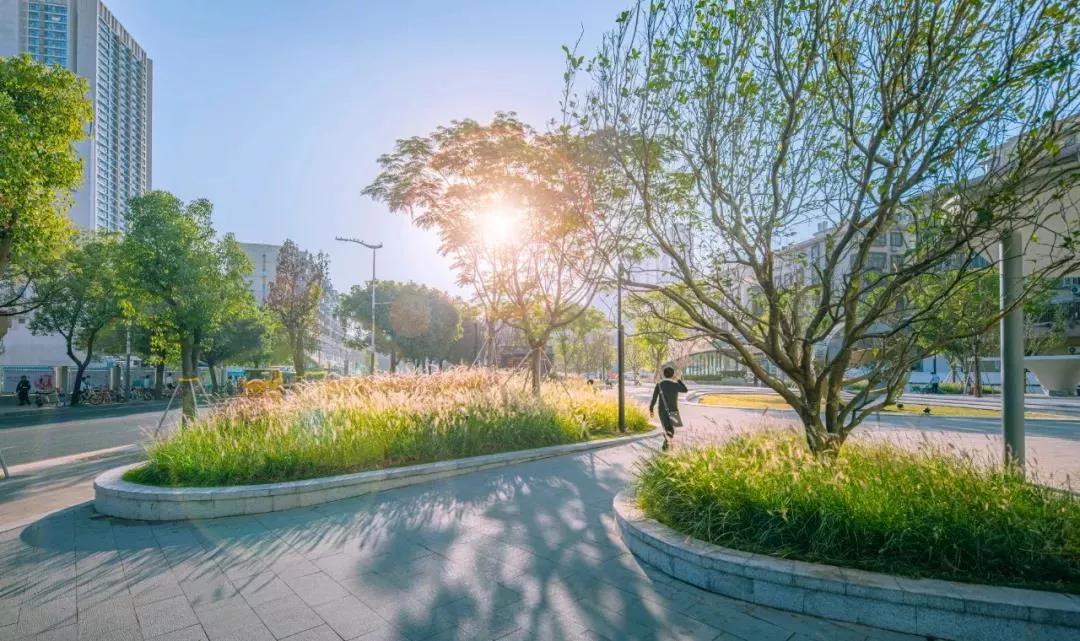 李宝章设计怎么样,李宝章设计的园林