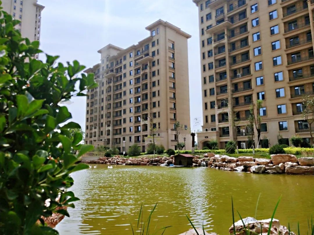 实探一线湖景房,石家庄房产探盘排行榜前十名