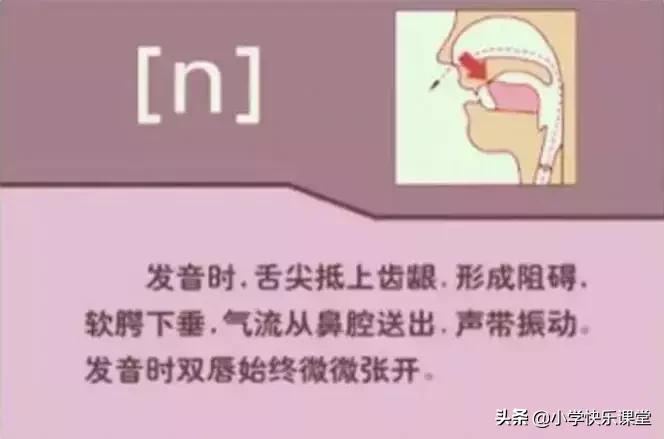 48个国际音标的发音口型视频图,英语48个音标发音口型视频