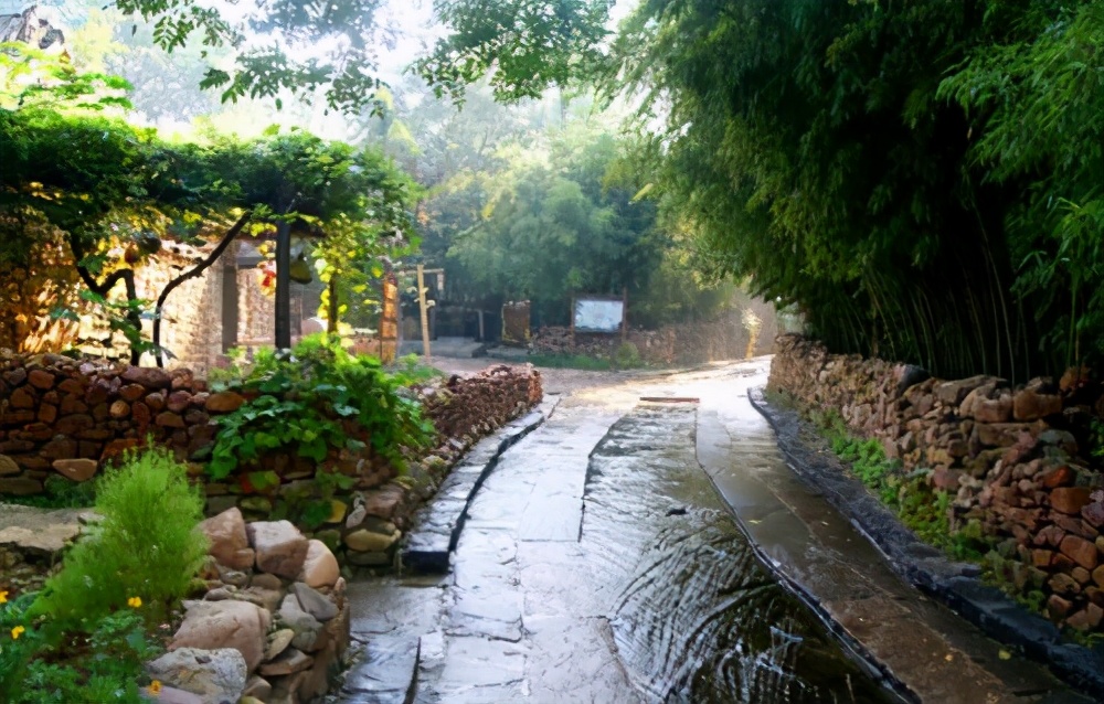 深圳免费钓鱼最佳钓点,深圳最新海钓鱼免费地点推荐