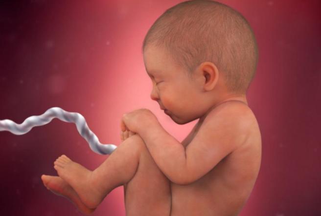 孕肚鼓大包和鼓小包的区别,孕肚扁宽是女儿吗