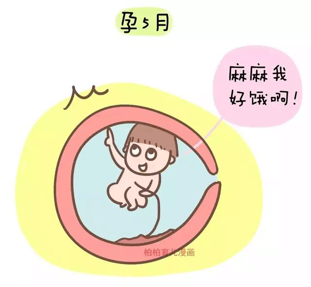 怀孕了一直害怕胎儿有问题,孕前三个月胎儿害怕什么