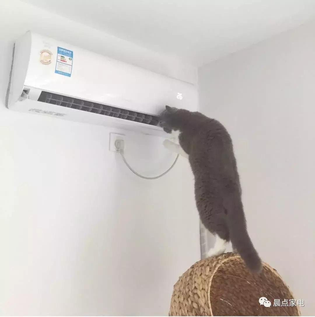 晨点家电价格,晨点家电音响