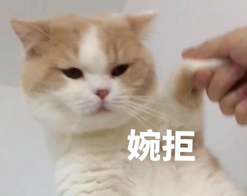 什么样的人群不适合佩戴美瞳,爱戴美瞳的人眼睛