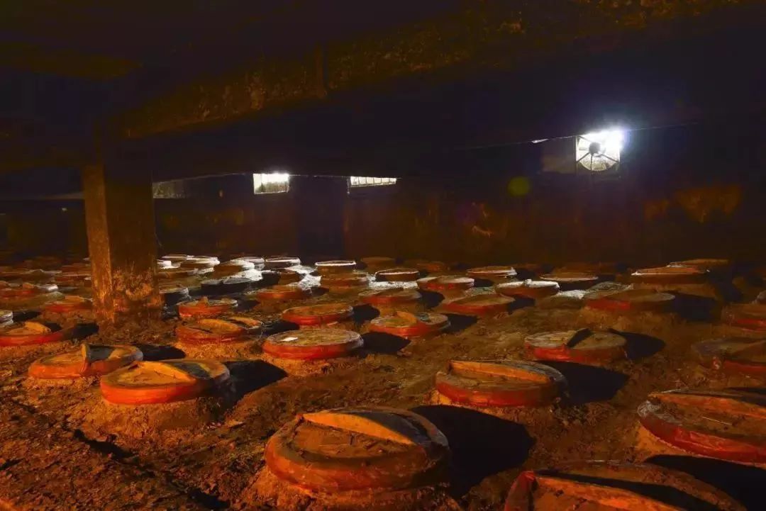 洋河大曲值得收藏的是哪款酒,洋河大曲最值得收藏的酒