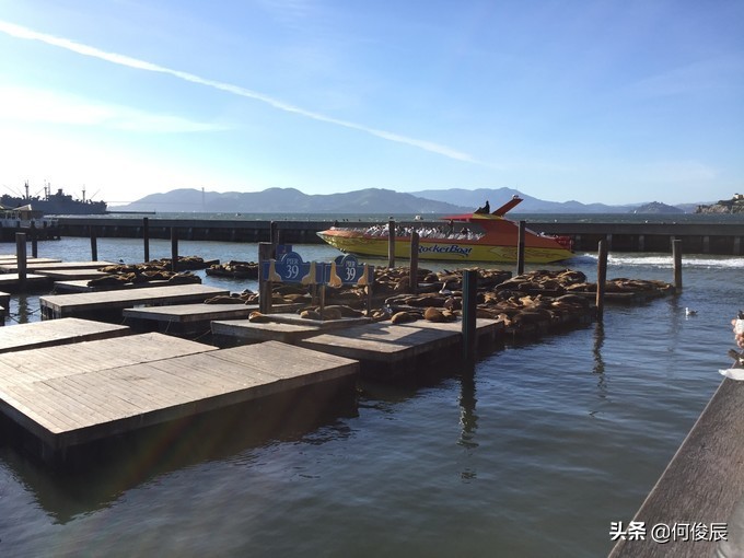 澳门渔人码头周边网红打卡地,旧金山渔人码头唐人街华人老照片