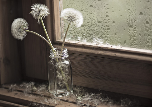 大家如何看待这样的母亲,这样的母亲值得原谅吗