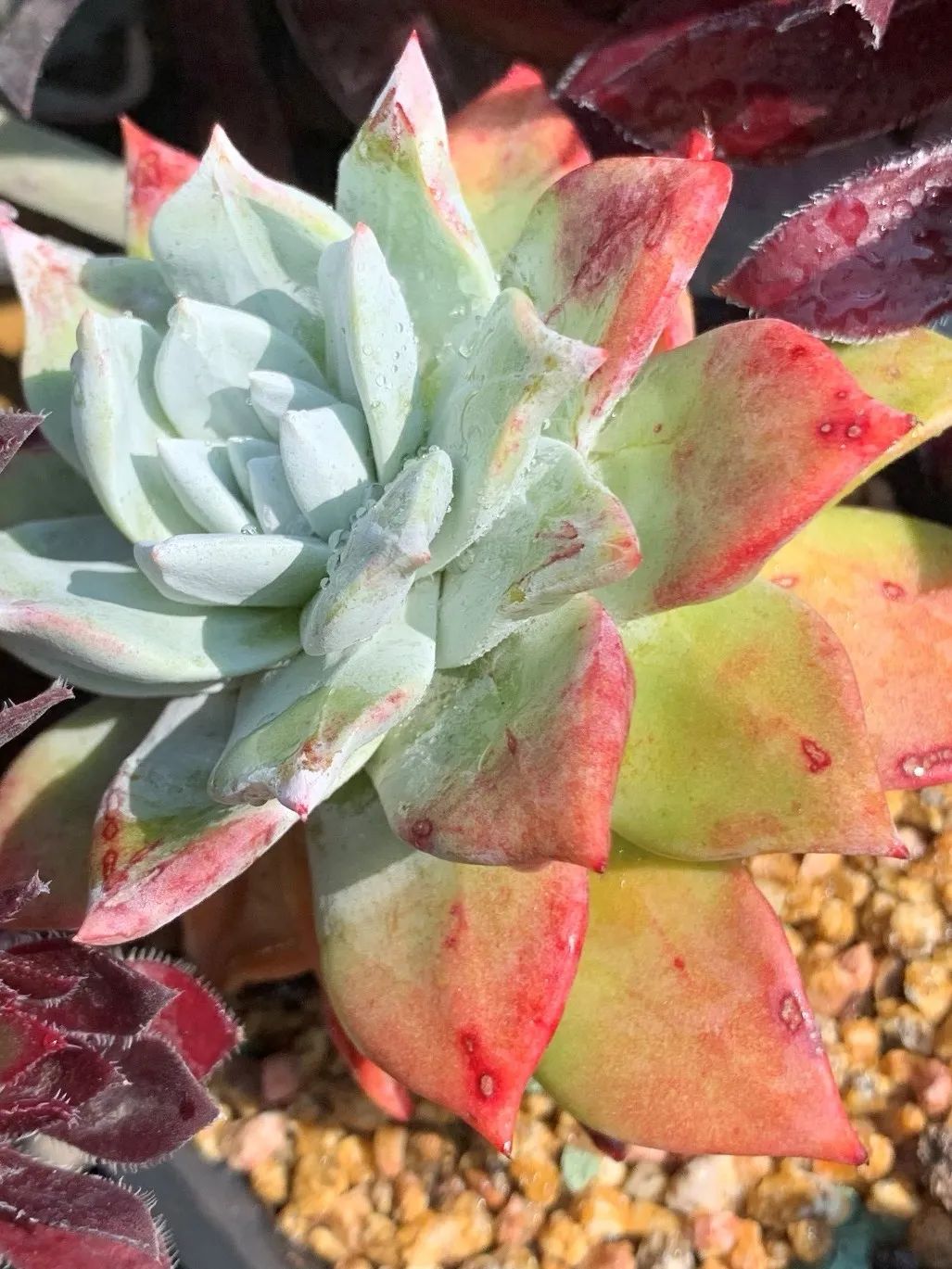 禁足的日子收获颇多,禁足