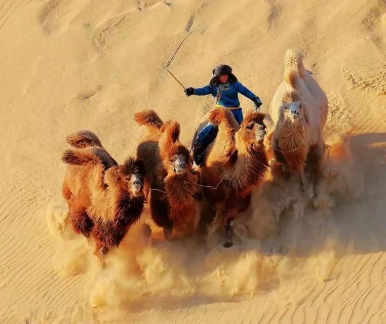 敖包相会的地方,敖包相会的地方通辽