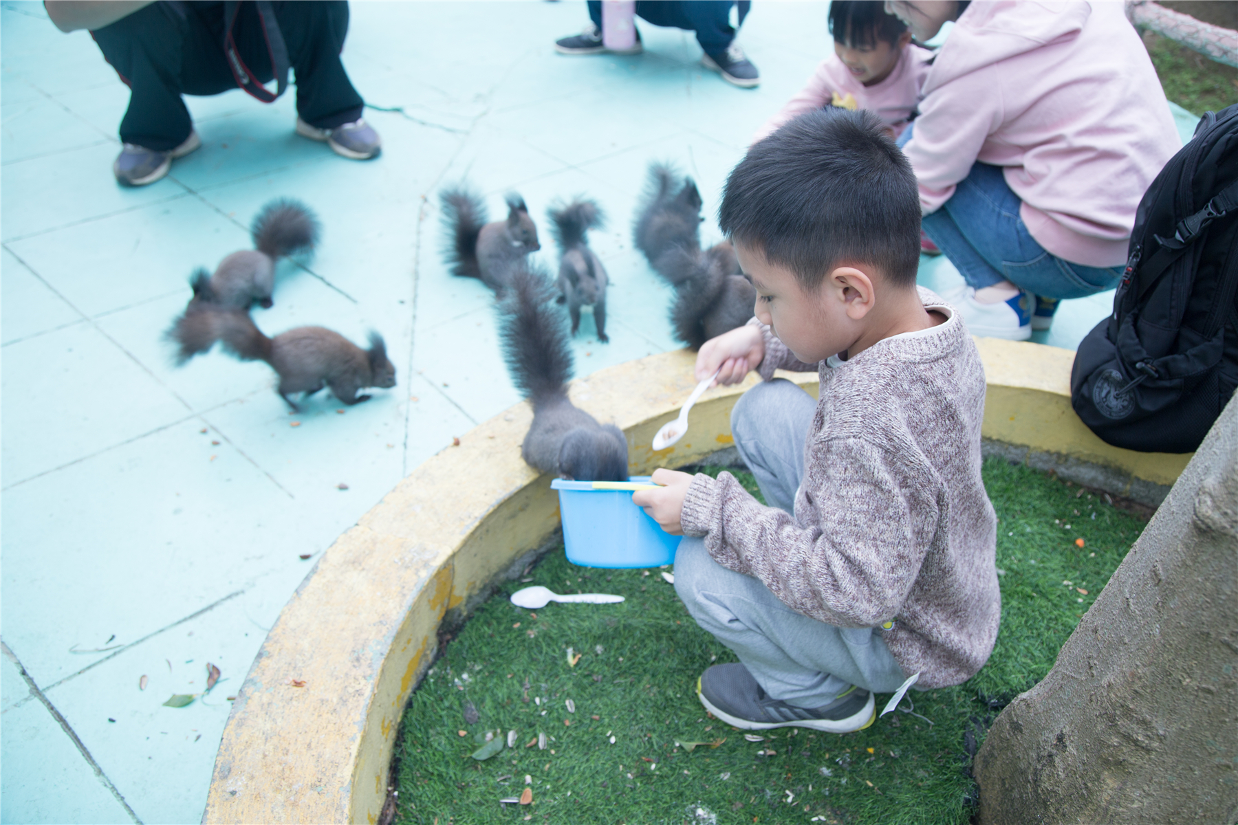 百万葵园攻略地图大全,百万葵园游玩注意事项