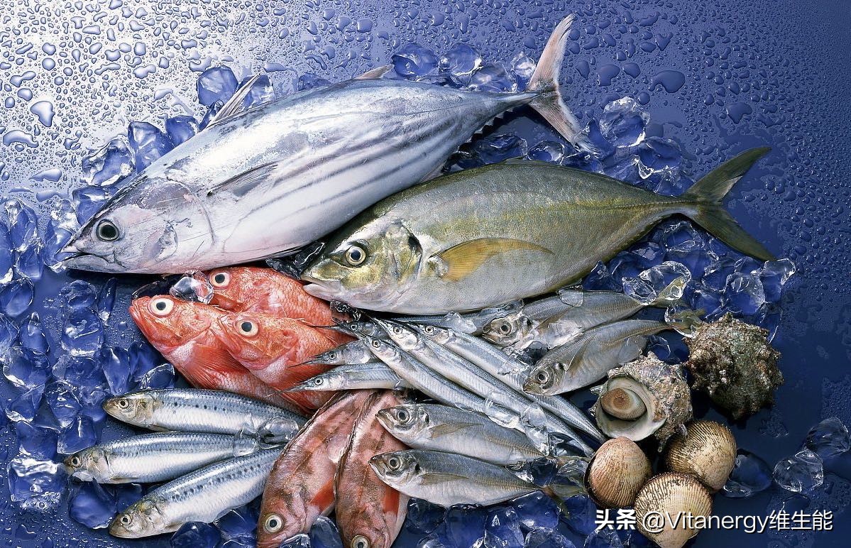 鱼油骗局解说,鱼油的内幕