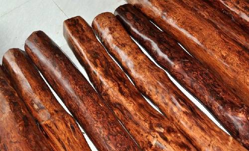 木头视频大全完整,木头全集完整版