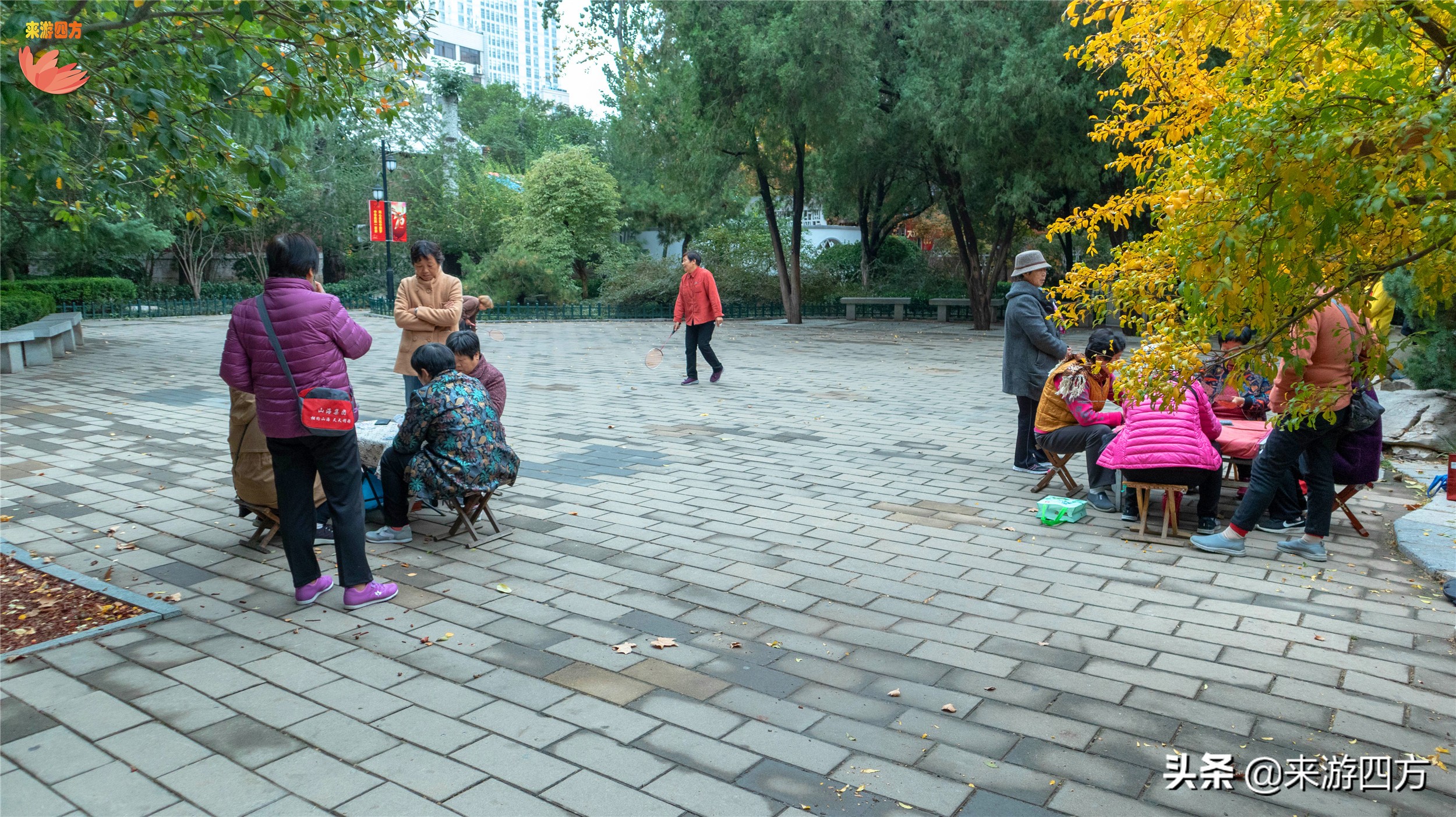 济南中山公园赏花,济南公园赏秋叶