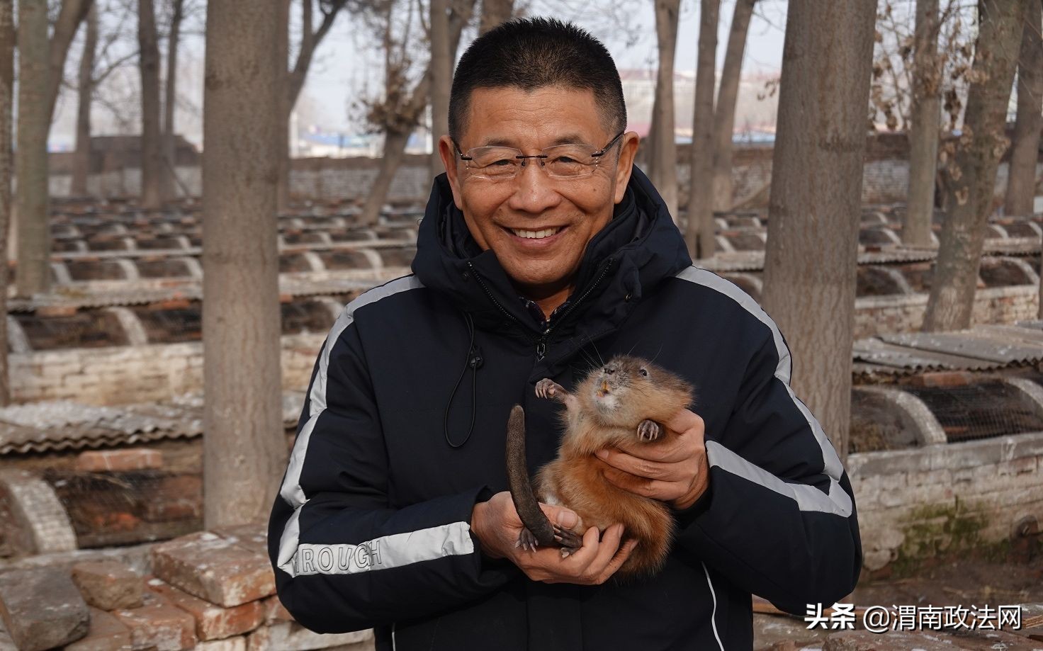 养猪改养泥鳅,养猪大户改行兔获丰收