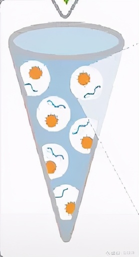 全场硬菜！分子诊断技术全解析