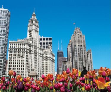 芝加哥有哪些著名建筑,芝加哥最富标志性的建筑物