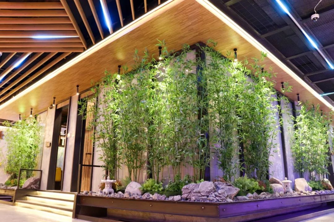 清远地标级KTV，坐拥网红时光隧道，还把热带雨林搬了过来