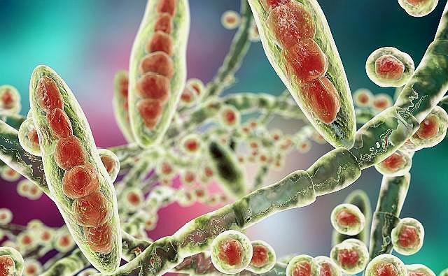 脚气为什么药会越抹越严重,脚气总是治不好是缺营养吗