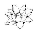 究竟什么是佛教？*京大南**学“文科院士”研究了四十年后这样说