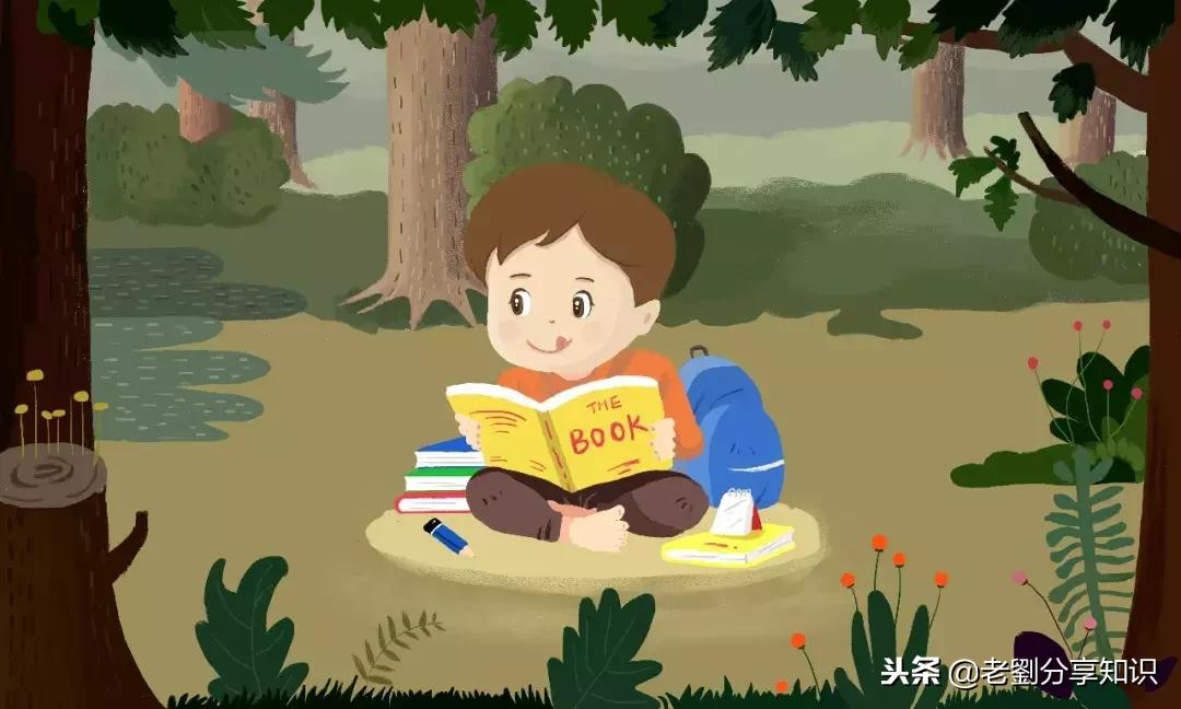 一年级语文必背词语注音表,小学语文常考词语注音及解释