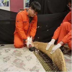 宇兰床垫,宇兰床垫怎么样