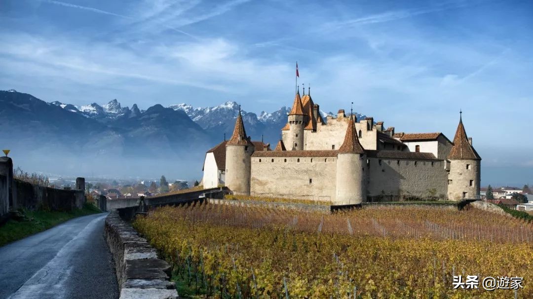 瑞士人竟然这么爱喝，拥有是世界遗产的葡萄园，作业还在靠手工