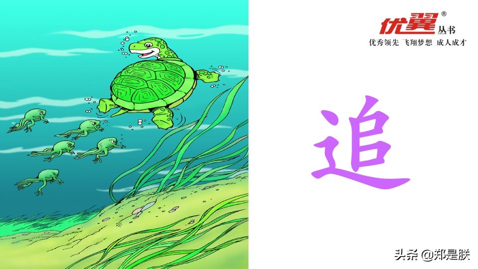 二年级小蝌蚪找妈妈诵读,二年级语文第1课小蝌蚪找妈妈