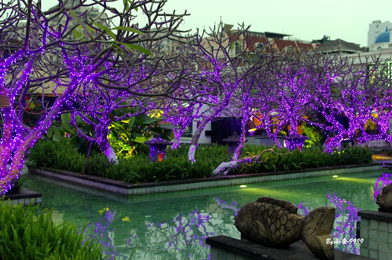 骏豪会台湾菜,骏豪会顺德菜