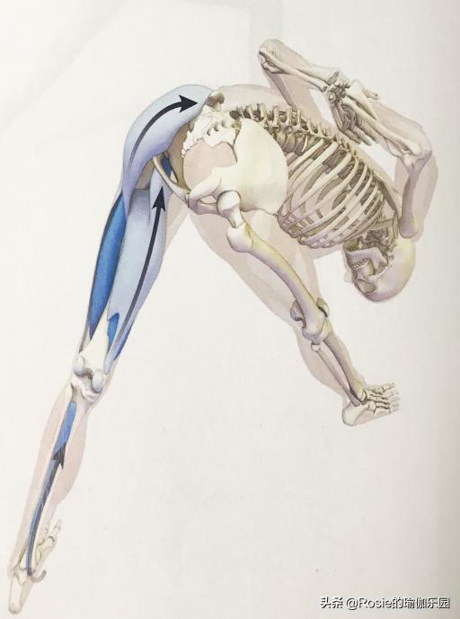 运动量过大腰疼怎么恢复,产后腰痛膝盖痛怎么锻炼