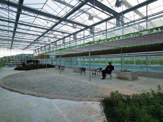 带你江西奉新看菜去，去了绝对不后悔