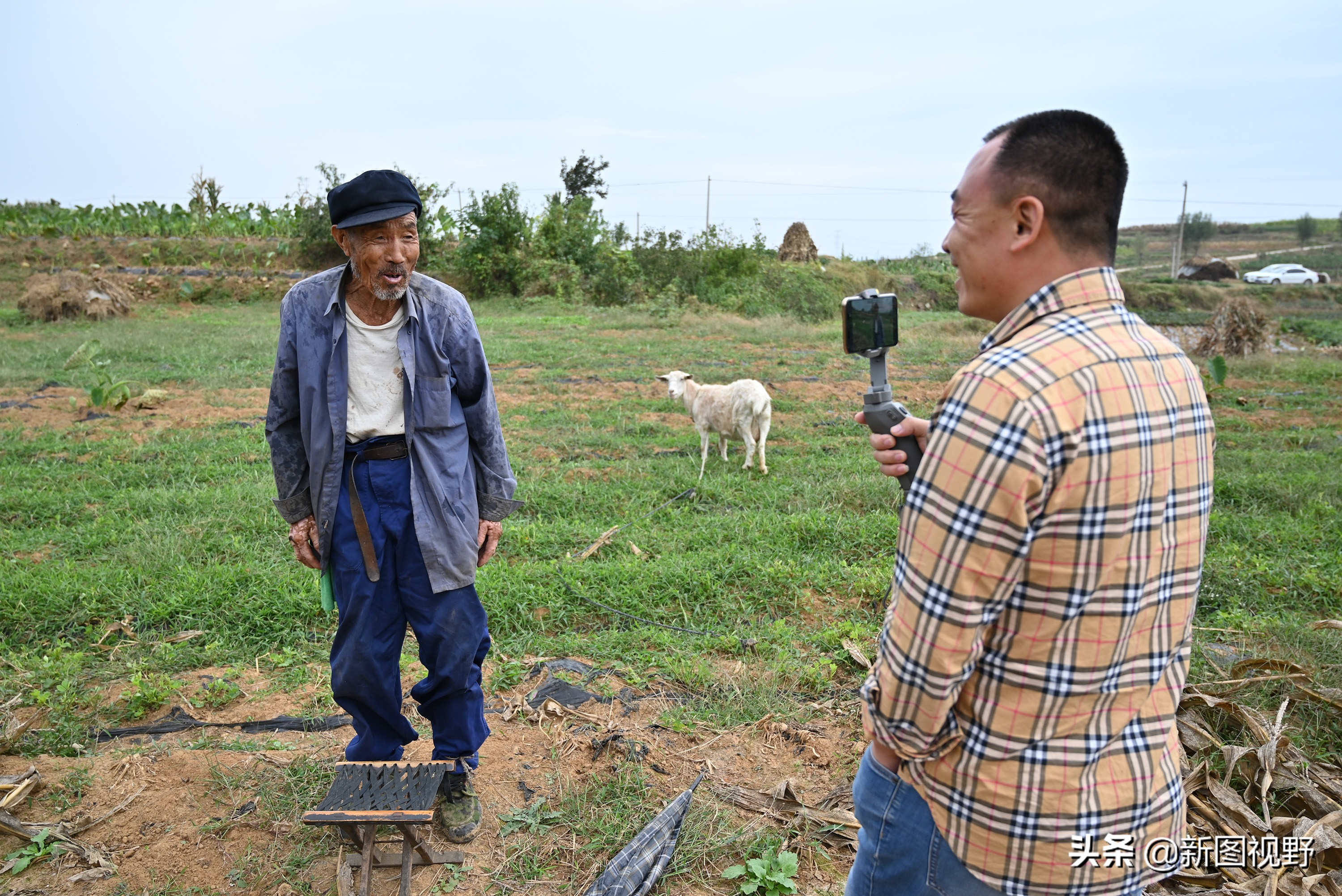 男子拍短视频赚70万,男子回乡创业视频