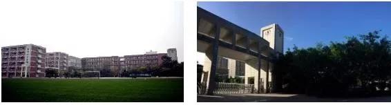 西加云杉的产品怎么样,西加云杉吉他