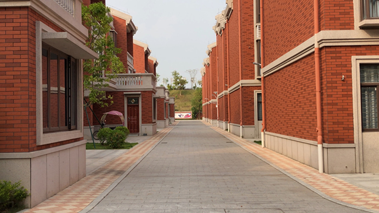 湛江坡头仔村外嫁女回娘家,老板回村送别墅