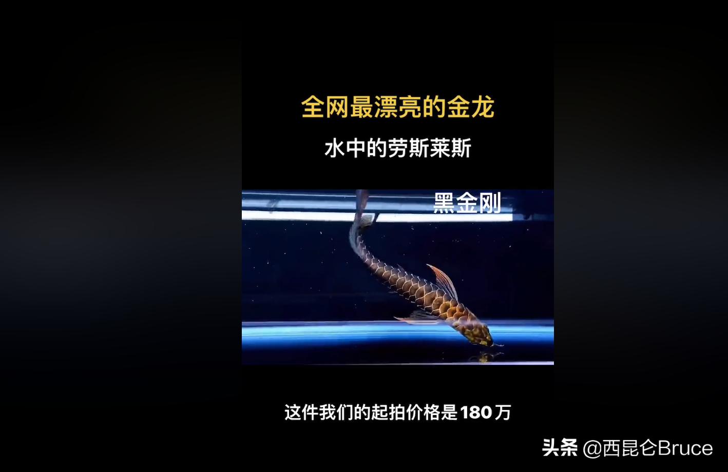 800万加长版的劳斯莱斯,800万天价拍卖视频
