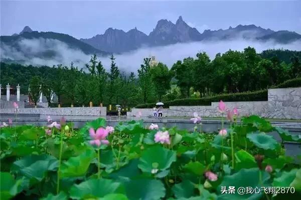 杨万里写荷花的诗小荷才露尖尖角,杨万里的荷花诗