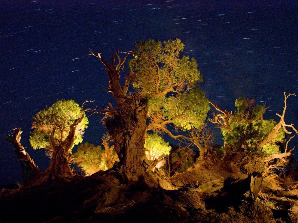 去了一趟新疆,去了一趟新疆的感受