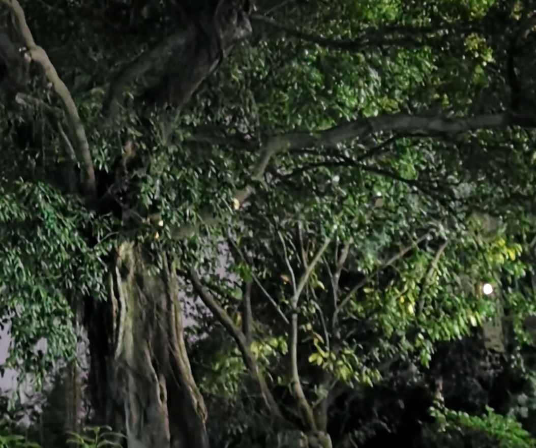 华为p30相机参数是多少,一张图告诉你华为p30拍照