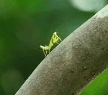 没想到日本国宝级画家，竟过着这样的生活！