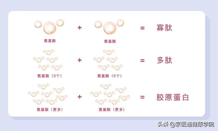 胶原蛋白真的有必要买吗,新手一定要知道的胶原蛋白骗局