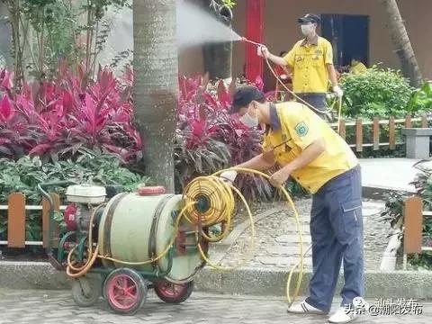 登革热高风险地区,注意登革热高发期教你三招远离