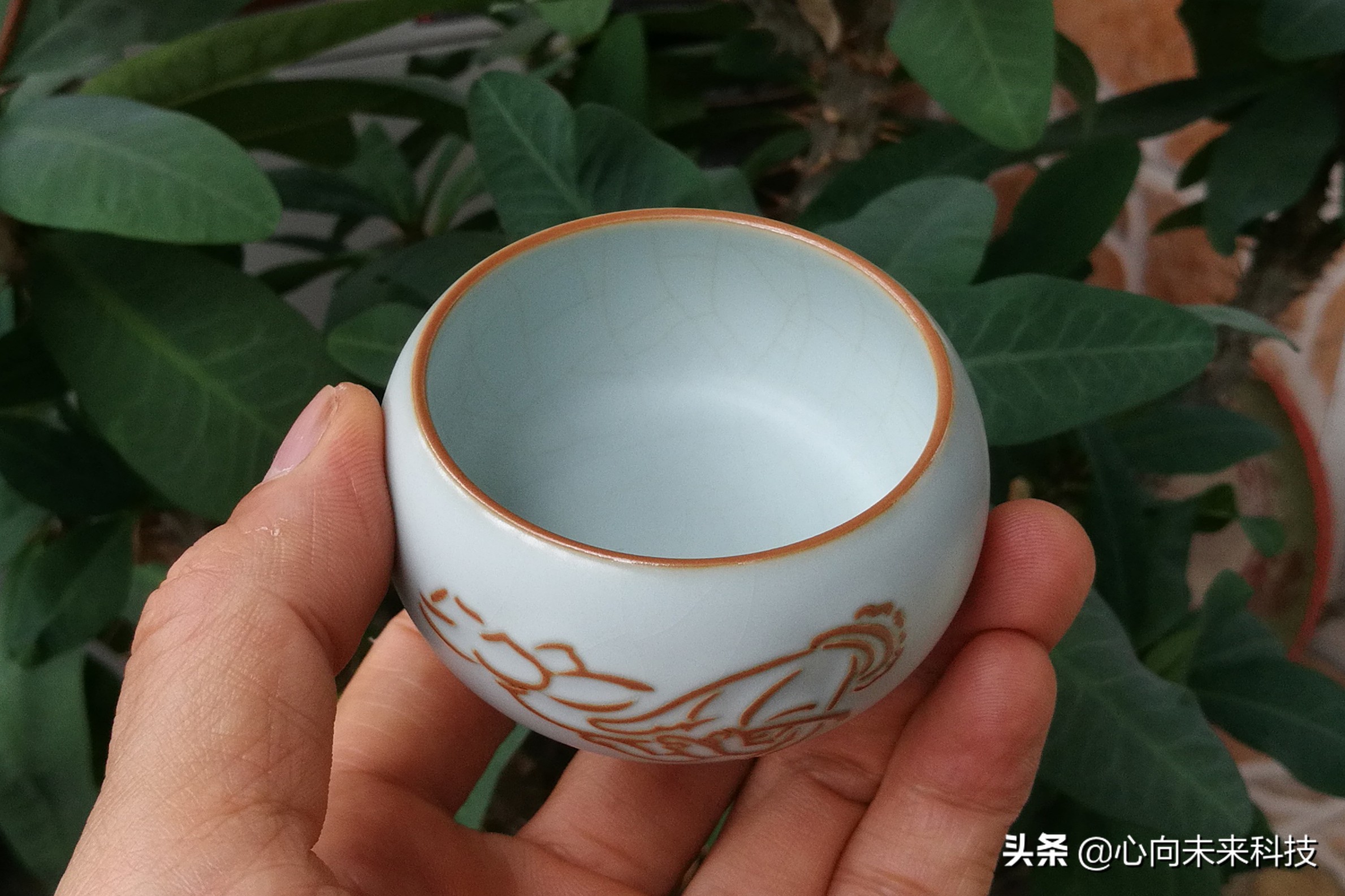 汝瓷新手入坑,汝瓷个人喝茶最实用的茶具