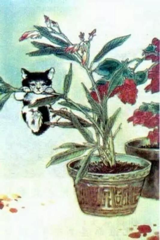 8090的童年回忆语文课本,8090后小学语文课本大全