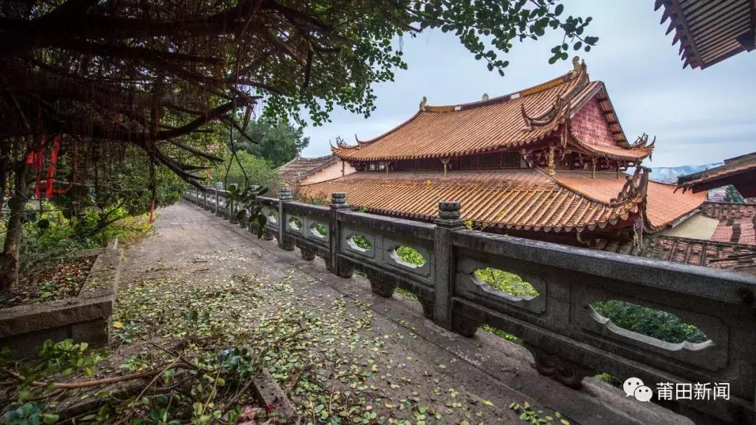 枫亭镇表彰,枫亭千年古镇