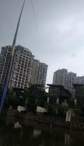 新秀作鲤上市时间,新秀作鲤评测